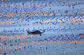 The Hometown of Abalone in China