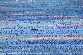 The Hometown of Abalone in China