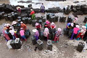 The Hometown of Abalone in China