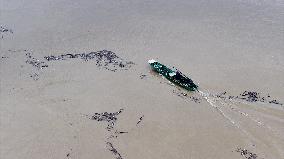 Pearl River Water Level Rose