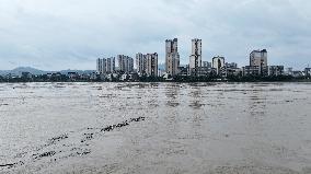 Pearl River Water Level Rose