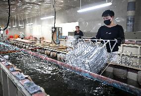 Manufacturing Cosmetics in Henan - China