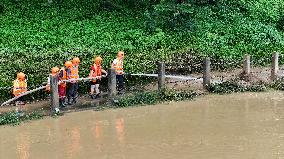 Silt Cleaning in Rong'an