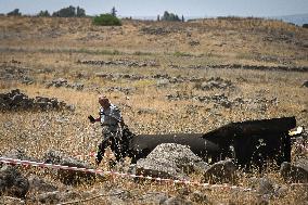 Iranian Ballistic Missile - Israel