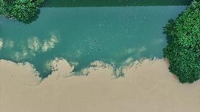 Clear And Turbid Scenery in Rong'an