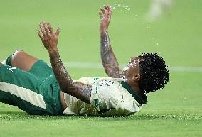FIFA Club World Cup 2025 - Inter Miami CF and Palmeiras
