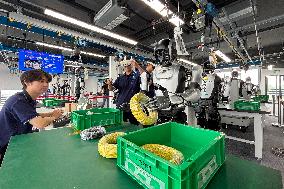 Jiangsu's first intelligent robot training center