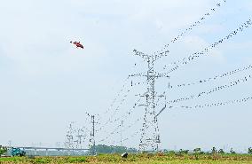 Helicopters Conduct Aerial Patrols on Ultra-high Voltage Transmission Lines