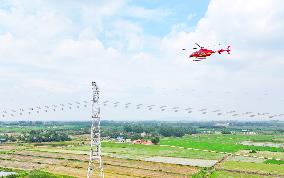 Helicopters Conduct Aerial Patrols on Ultra-high Voltage Transmission Lines