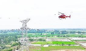 Helicopters Conduct Aerial Patrols on Ultra-high Voltage Transmission Lines