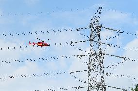 Helicopters Conduct Aerial Patrols on Ultra-high Voltage Transmission Lines