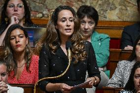 Questions to the government at the National Assembly in Paris FA