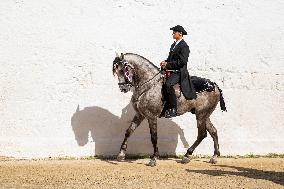Sant Joan Festival - Menorca