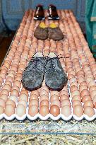 PFW - Berluti Photocall