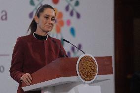 President Claudia Sheinbaum News Conference - Mexico