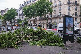 Recovery After Violent Storms in Paris - Paris
