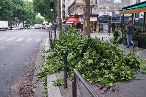 Recovery After Violent Storms in Paris - Paris