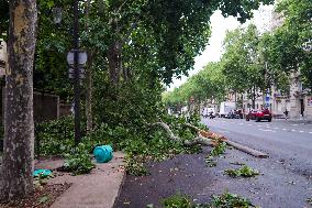 Recovery After Violent Storms in Paris - Paris