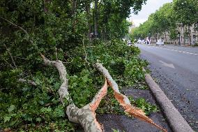Recovery After Violent Storms in Paris - Paris