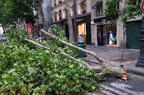Recovery After Violent Storms in Paris - Paris