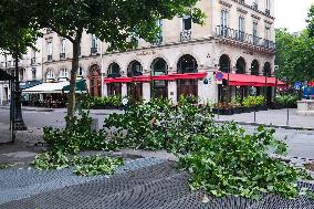 Recovery After Violent Storms in Paris - Paris