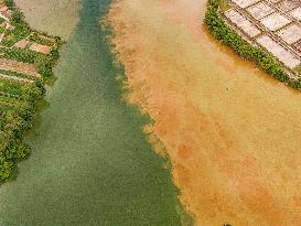 River Turbid Clear Scenery in Nanning