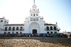 Traditional Saca De Yeguas - Spain