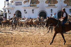 Traditional Saca De Yeguas - Spain