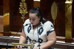 Debate At The National Assembly - Paris