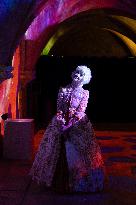 Mystere Mozart Show
