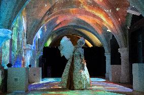 Mystere Mozart Show