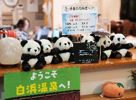 Four giant pandas at western Japan zoo to return to China