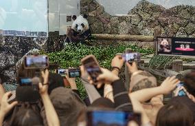 Four giant pandas at western Japan zoo to return to China