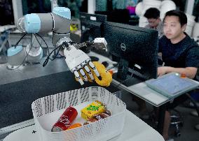 Robot Industry - China