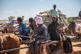 More than 844,000 Sudanese Refugees Have Fled to Chad