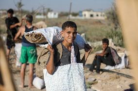 Palestinians Carry Collected Tree Branches and Scrap Wood - Gaza