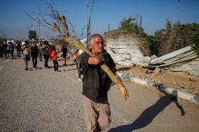 Palestinians Carry Collected Tree Branches and Scrap Wood - Gaza
