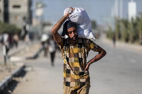 Palestinians Carry Collected Tree Branches and Scrap Wood - Gaza