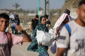 Palestinians Carry Collected Tree Branches and Scrap Wood - Gaza