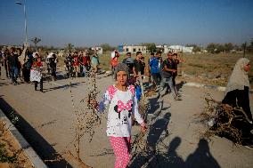 Palestinians Carry Collected Tree Branches and Scrap Wood - Gaza
