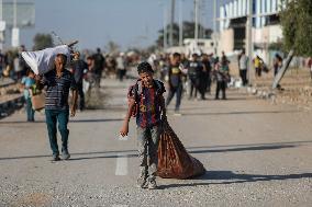 Palestinians Carry Collected Tree Branches and Scrap Wood - Gaza