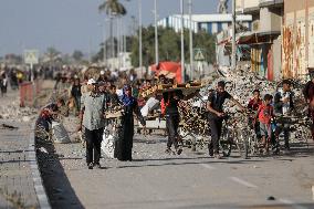 Palestinians Carry Collected Tree Branches and Scrap Wood - Gaza