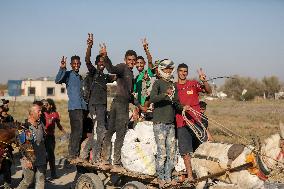 Palestinians Carry Collected Tree Branches and Scrap Wood - Gaza