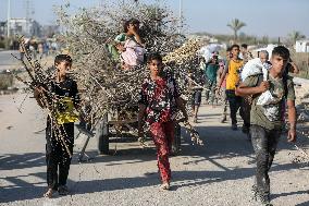Palestinians Carry Collected Tree Branches and Scrap Wood - Gaza