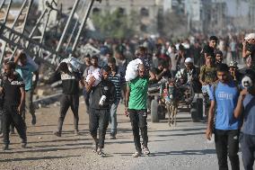 Palestinians Carry Collected Tree Branches and Scrap Wood - Gaza