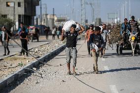 Palestinians Carry Collected Tree Branches and Scrap Wood - Gaza