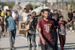 Palestinians Carry Collected Tree Branches and Scrap Wood - Gaza