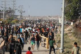 Palestinians Carry Collected Tree Branches and Scrap Wood - Gaza
