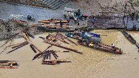 Salvage China firs After The Flood Peak in Rong'an