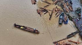 Salvage China firs After The Flood Peak in Rong'an